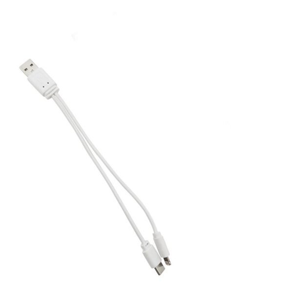 2 in 1 Type-c Lightning USB Cable Custom